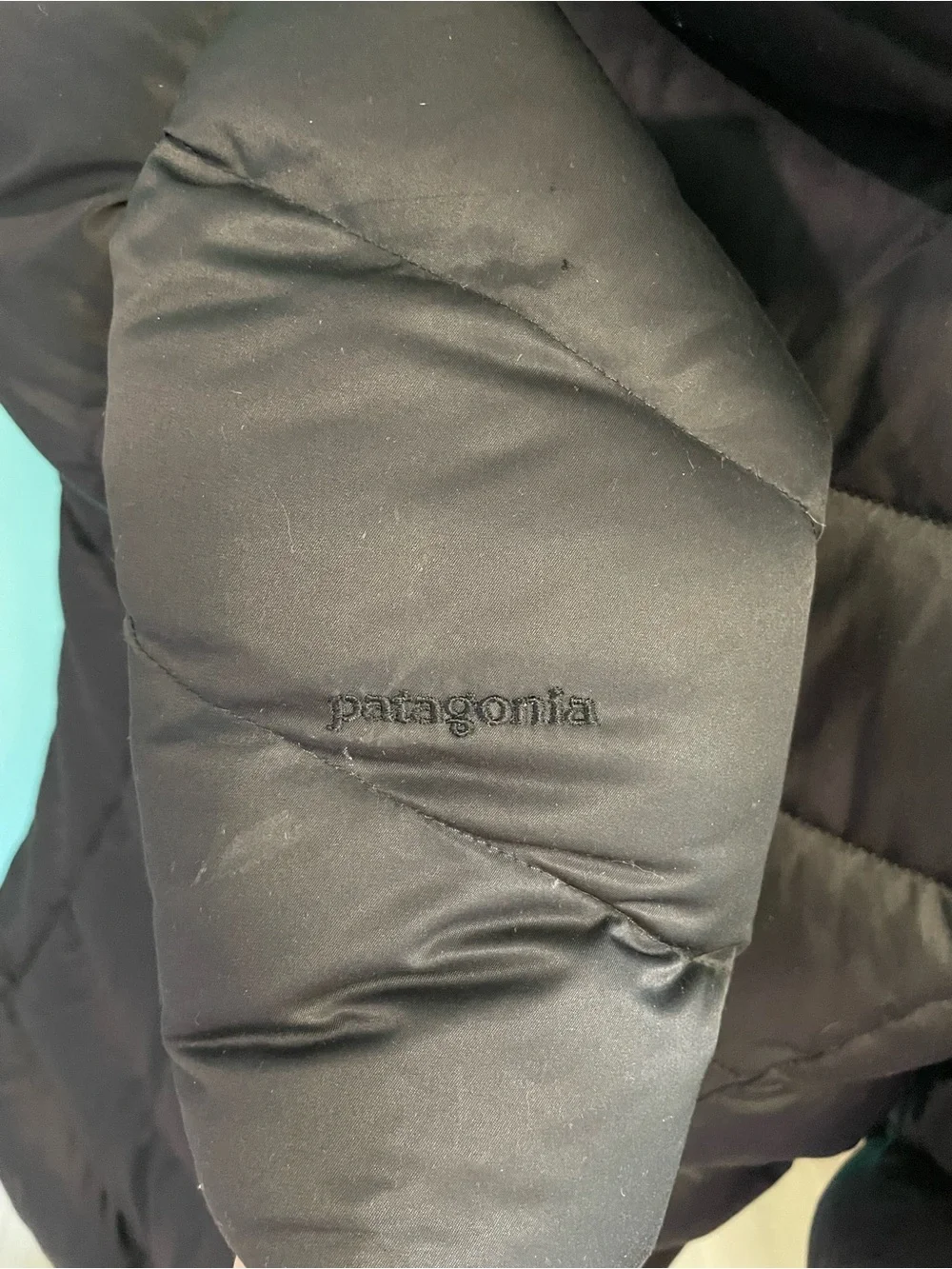 Patagonia Women's Downtown Puffer Coat